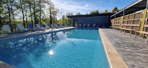 Pool deck with blue and white loungers lined up under the trees.