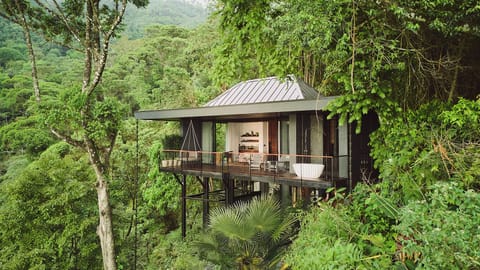 Luxury Tree House, 1 King Bed | Premium bedding, down comforters, pillowtop beds, minibar