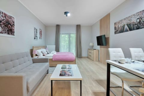 Bright and modern studio apartment with a comfortable sleeping area, seating space, dining table, and access to a private balcony.
