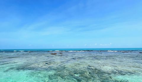 Beach/ocean view