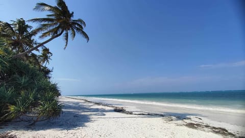 Beach nearby, white sand