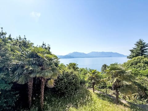 Sky, Blue, Green, Leaf, Nature, Vegetation, Natural Landscape, Landscape, Coastal And Oceanic Landforms, Plant Community