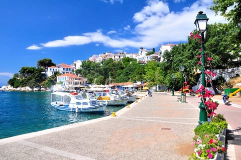 Tourist Destination