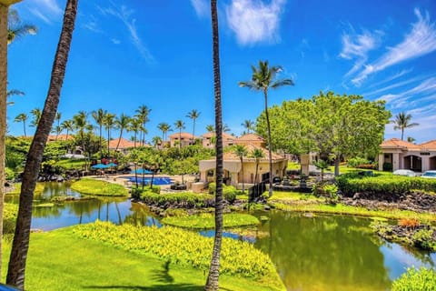 Peaceful Lagoon Views Surrounded By Tropical Beauty