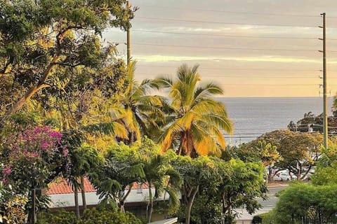 Scenic Ocean & Tropical Views from Property