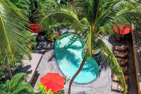 Take in a beautiful aerial view of the pool area and its inviting resort setting.