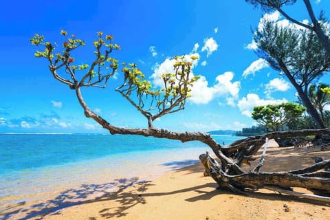Tropical beach features golden sand, turquoise water, and dramatic coastal greenery