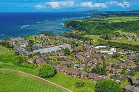 Inviting bird-eye view showcases charming architecture, welcoming entry, and beautiful surrounding views