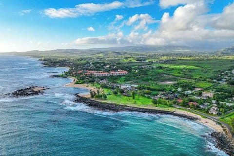 Breathtaking Oceanfront Coastline Views