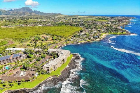 Breathtaking Oceanfront Aerial Escape
