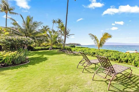 Unwind on the lush oceanfront lawn with peaceful island views.