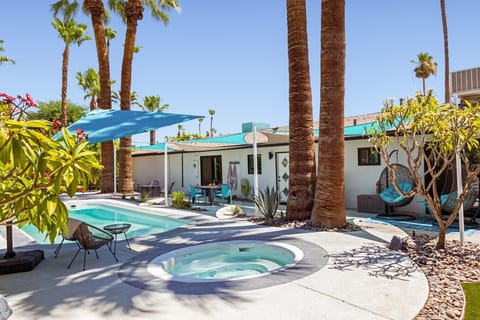 Private saltwater pool and spa framed by mature palms and mountain views.