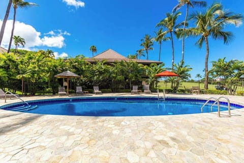 Sparkling Pool Surrounded By Palms