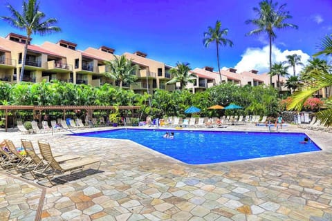 Resort pool surrounded by swaying palms and tropical scenery
