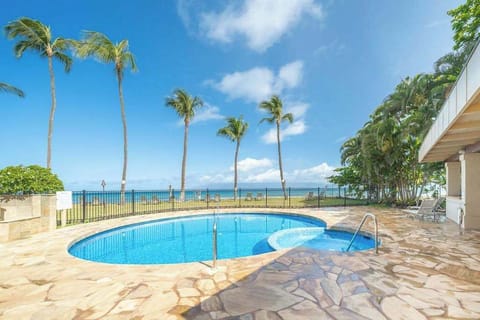 Oceanfront Pool Under Swaying Palms
