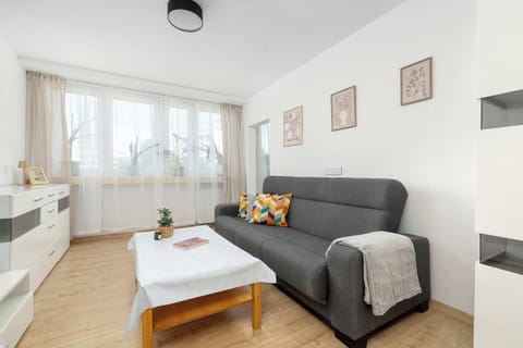 A bright living room combines a gray sofa, coffee table, TV, and dining area in one open space. Large windows bring plenty of natural light into the apartment.
