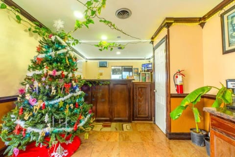 Entrance / Reception