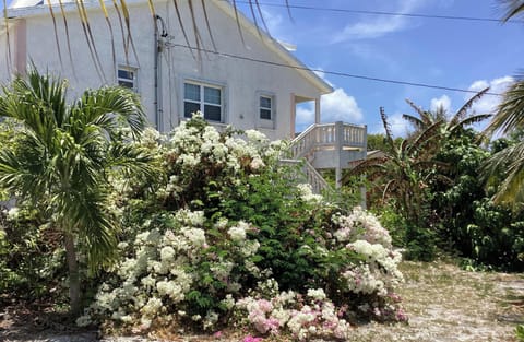 Condo, Non Smoking, Garden View | Garden view