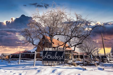 Loubird House