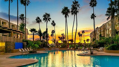 Resort-style pool oasis with palm trees and sunset views