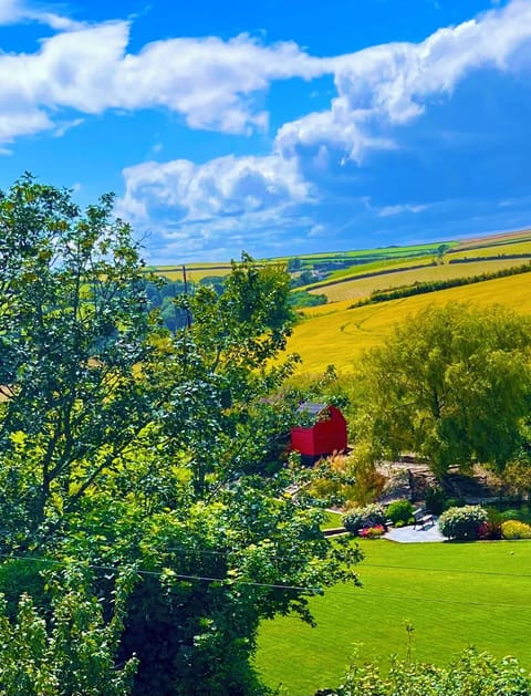 Views from the house and garden