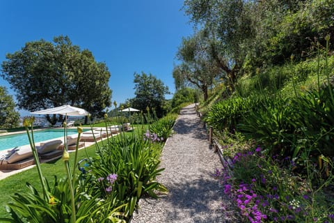 Seasonal outdoor pool, pool umbrellas, sun loungers