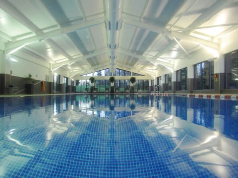 Indoor pool, sun loungers