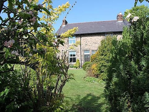 View of the property from the garden