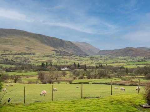 Magnificent views from the cottage