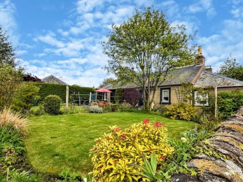 Lovely garden area