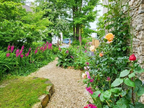 Gorgeous planting