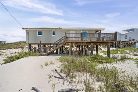 Conch Shell Dauphin Island Beach Rentals