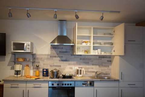 Panoramic Apartment, 1 Bedroom, Kitchen, Mountain View (Balcony) | Private kitchen | Full-size fridge, microwave, oven, stovetop