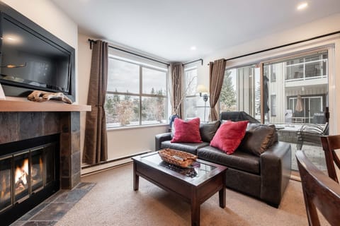 Living area: Pull-out sofa