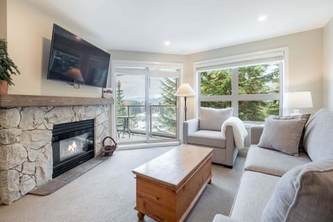 Living area: Pull out sofa