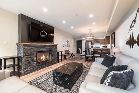 Living area: Queen-sized pull out couch