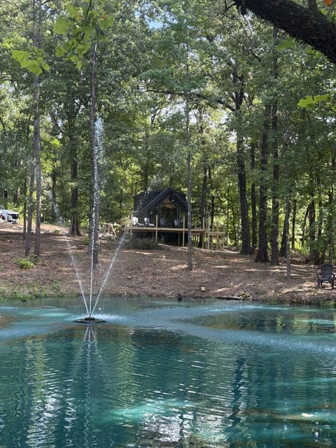Pondfront cabin with fountain view