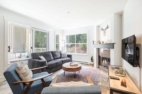 Living area: Pull-out sofa, Gas fireplace