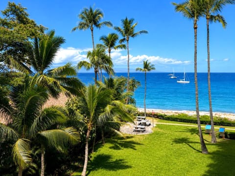Palm trees frame beautiful views toward Kaanapali Beach