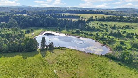 Backyard | Pond | Scenic Views