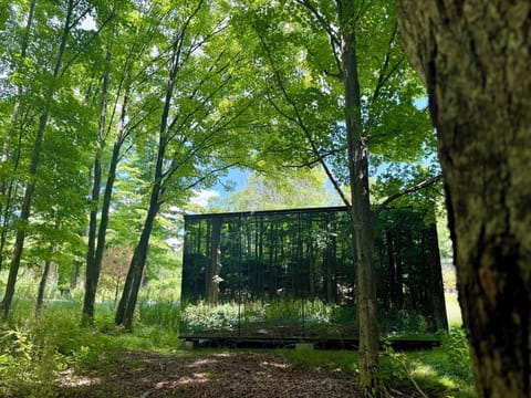 Escape into nature at The Heron Guest House, a stunning glass retreat surrounded by serene forest views.