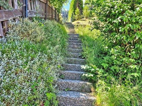 Green, Vegetation, Shrub, Plant Community, Groundcover, Garden, Spring, Stairs, Herbaceous Plant