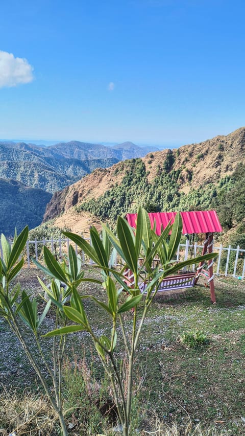 Basic Cottage, Mountain View | Property grounds