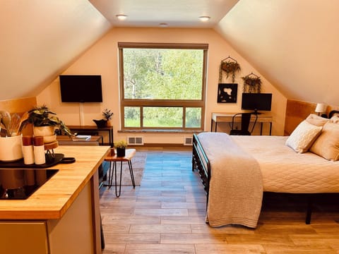 This is a studio space. Sleeping area is a shared area between the queen bed, living room twin sofa couch and an extra twin blow up mattress if needed.