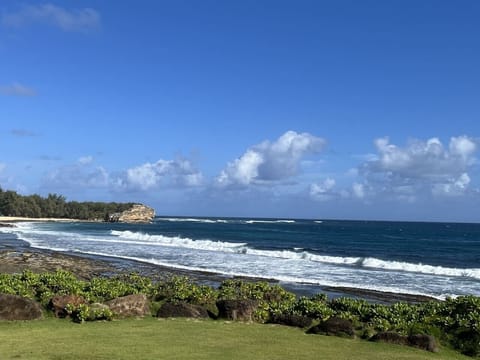 Shipwreck;s Beach