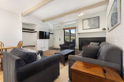 Fireplace | Living Room | Pullout Sofa (Queensize)