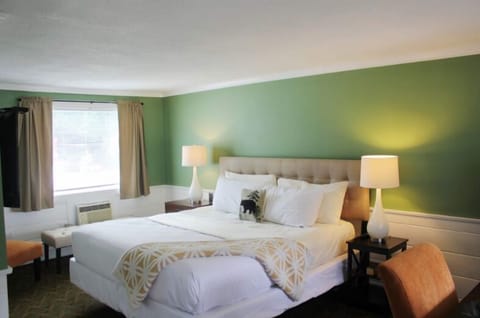 Basic Single Room, Mountain View | WiFi (free)