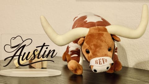 Playful Austin decor with iconic longhorn charm and local character