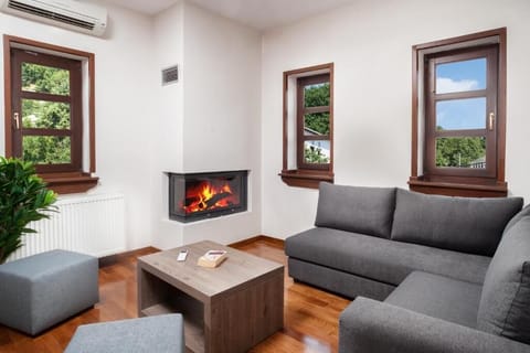 Comfortable Living Room with Fireplace and Smart TV