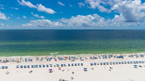 Condo, 1 Bedroom | Beach | Beach nearby